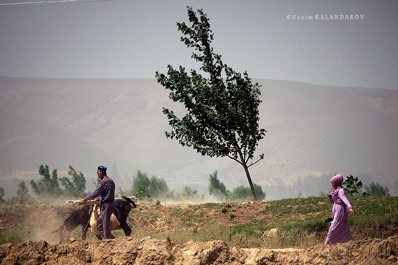 287997311_3175141339402584_1664178603745689059_n