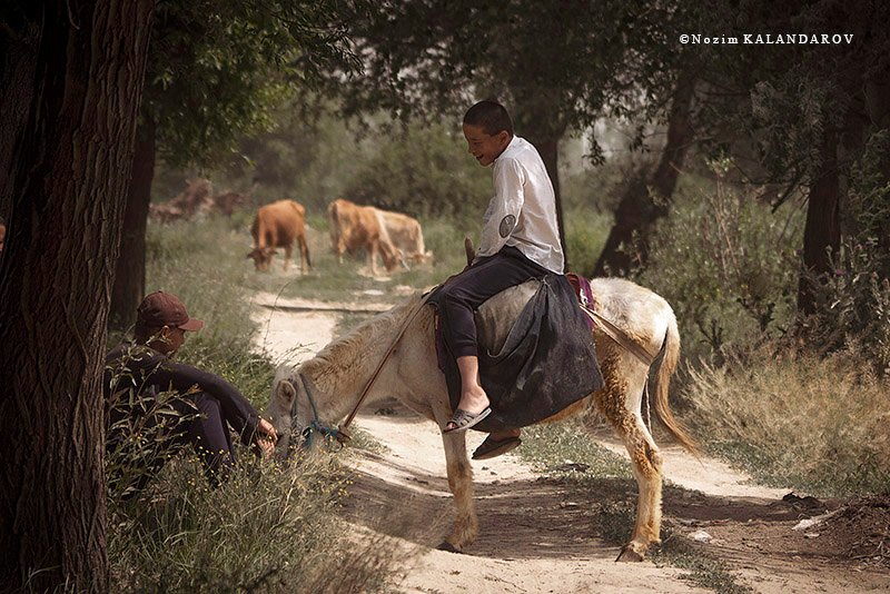 289253403_3182097832040268_8443199743010670525_n