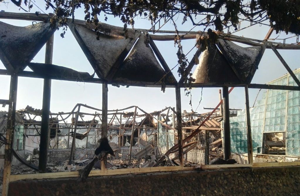 photo_2022-06-02_07-12-53