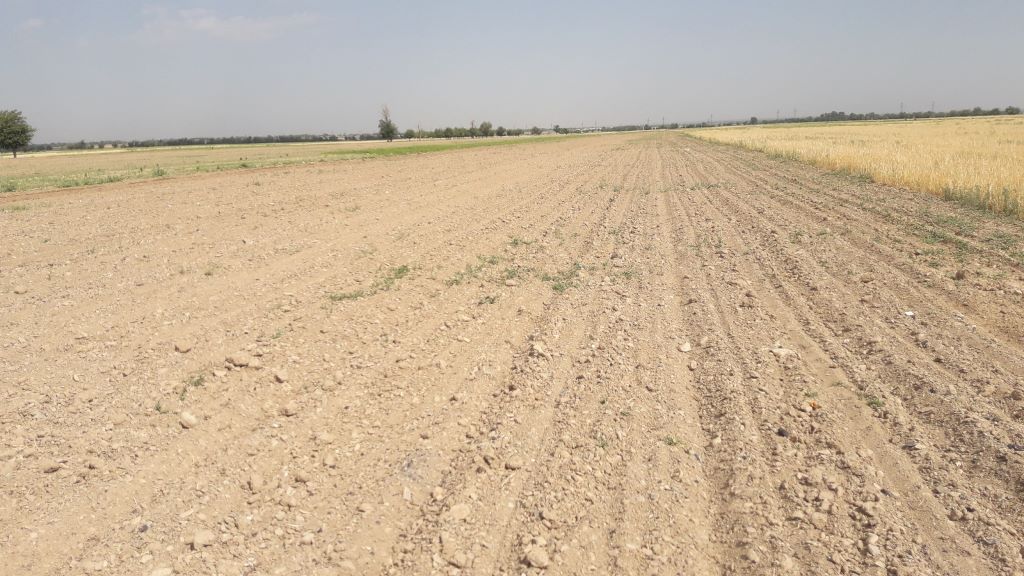 photo_2022-06-07_12-38-16