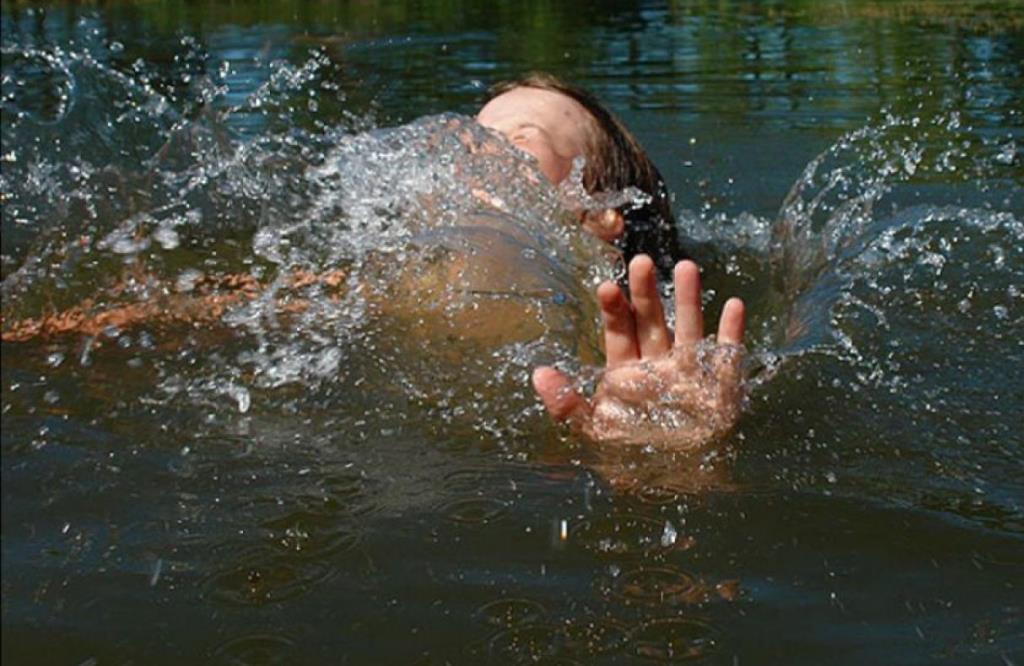 e2cf0fdeb646ab9014761b81ba6ff932