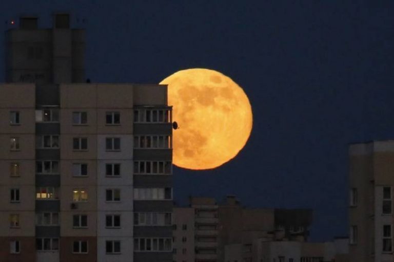 efe6c4b7626a0bfe128257df8fa2232e-768x5121-1