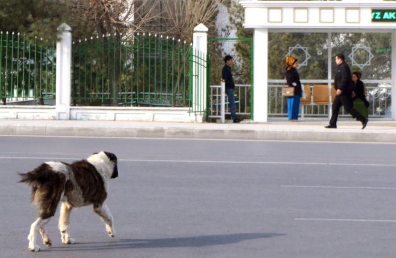 f4ce4e9c-dbe7-40a3-8806-fd62df5dd3ea