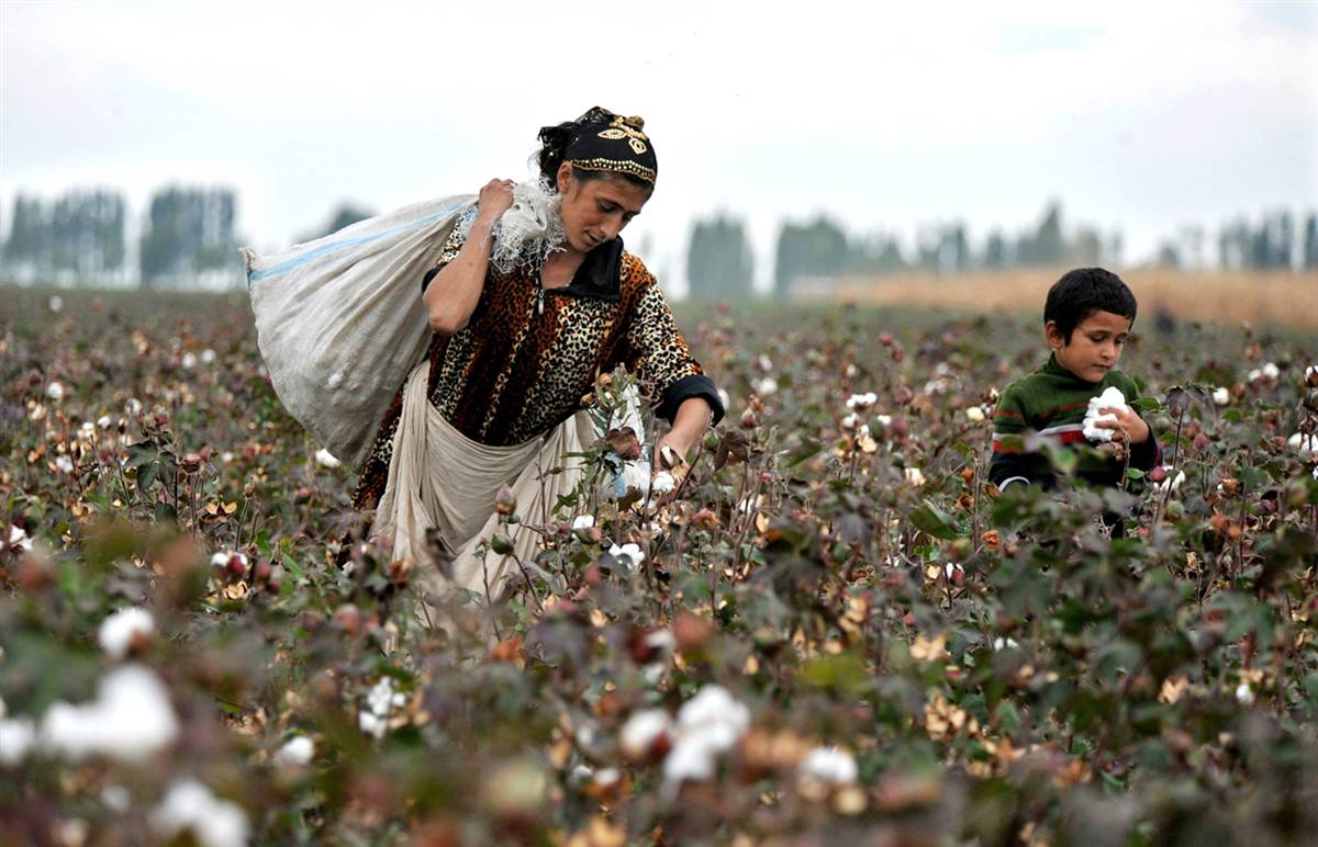 fc971e77ca9d52e18d4f77972c3f382a