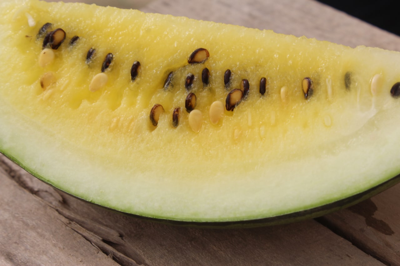 photo_2022-07-06_13-03-55