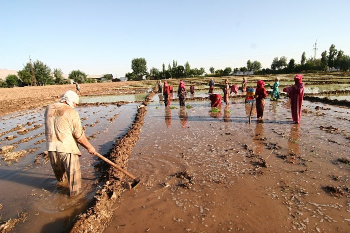 photo_2022-07-08_11-24-34