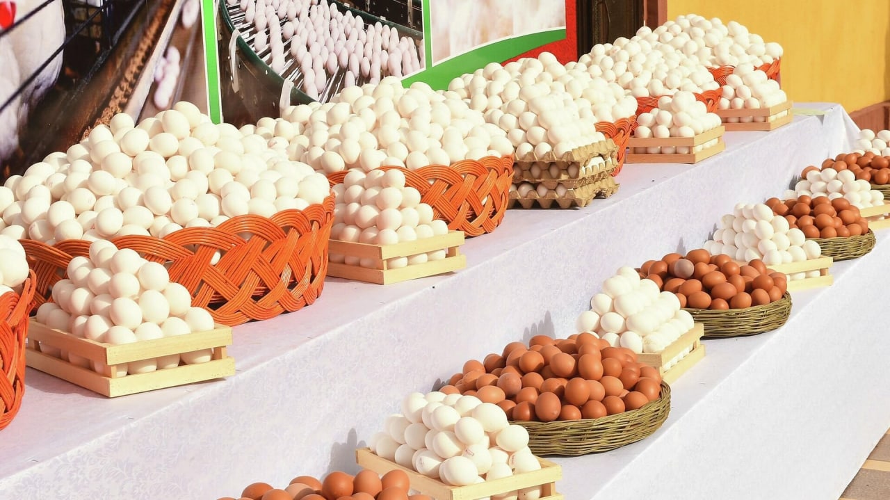 photo_2022-07-12_08-32-40