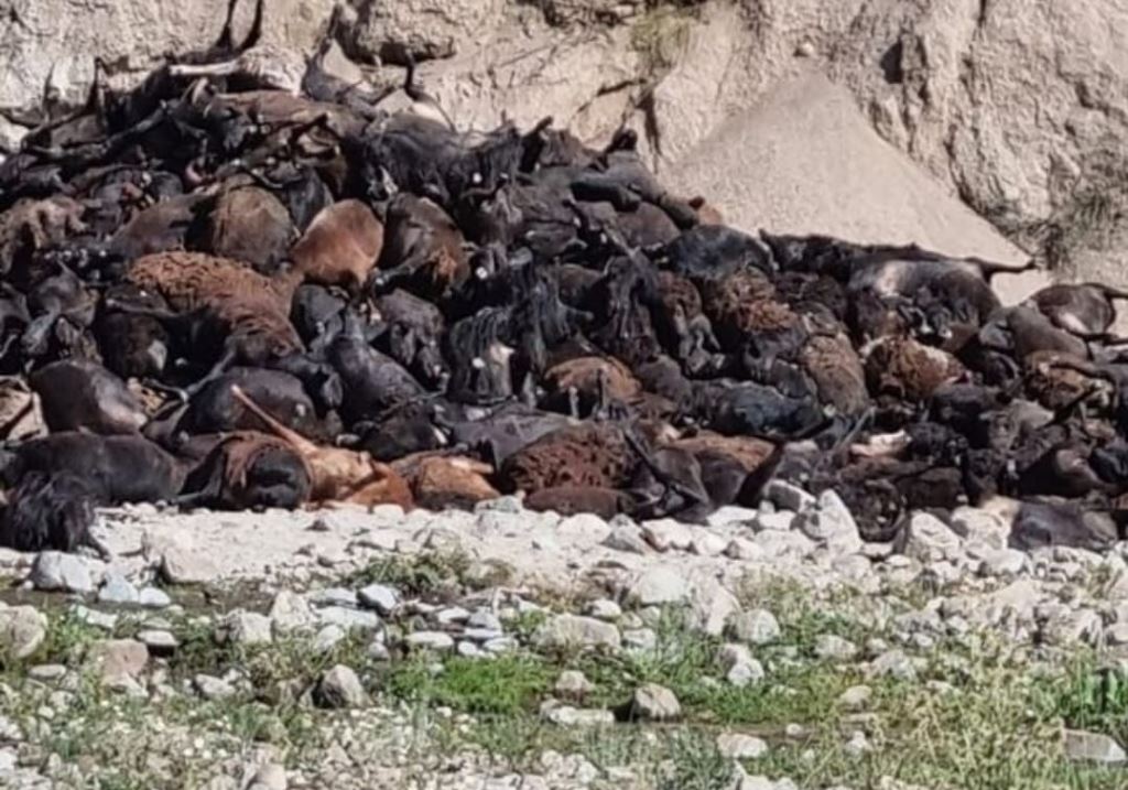 photo_2022-07-18_16-14-49