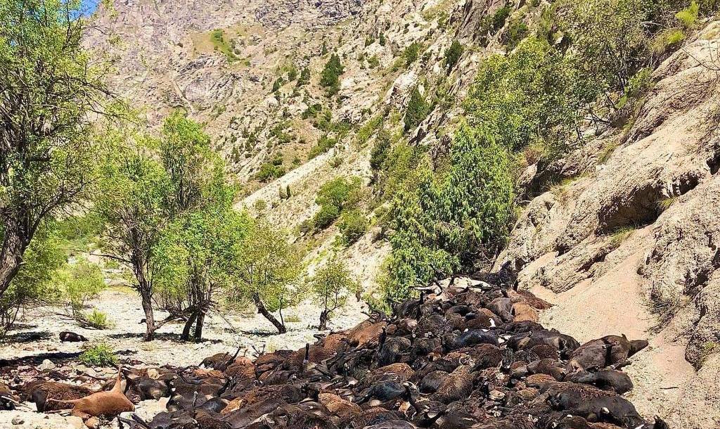 photo_2022-07-19_12-45-30