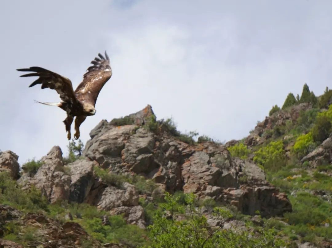 photo_2022-07-20_10-01-01