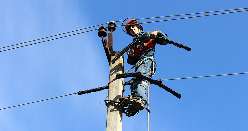 tild3634-3936-4864-b163-333931326433__2_omskelektro