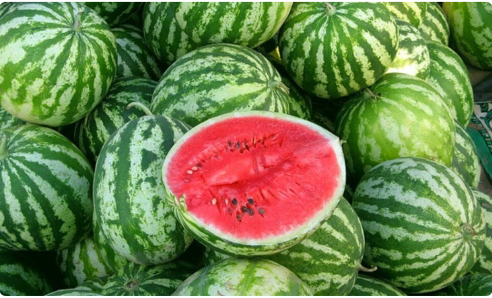 Watermelon