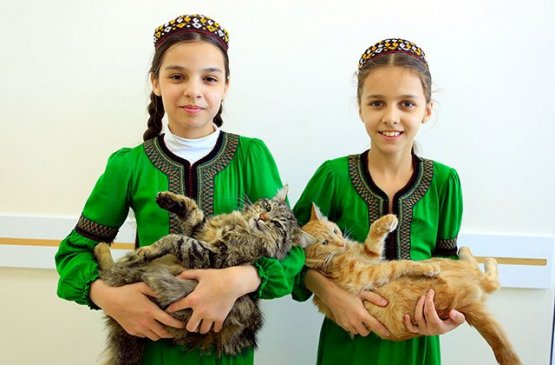 1659785265_gostinica-dlja-domashnih-pitomcev-turkmenistan