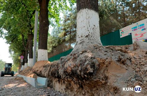 feda6463-34ce-425d-a3f6-303bbae0d4a5