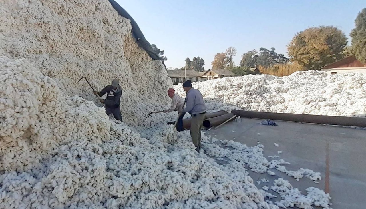 photo_2022-08-11_14-34-46