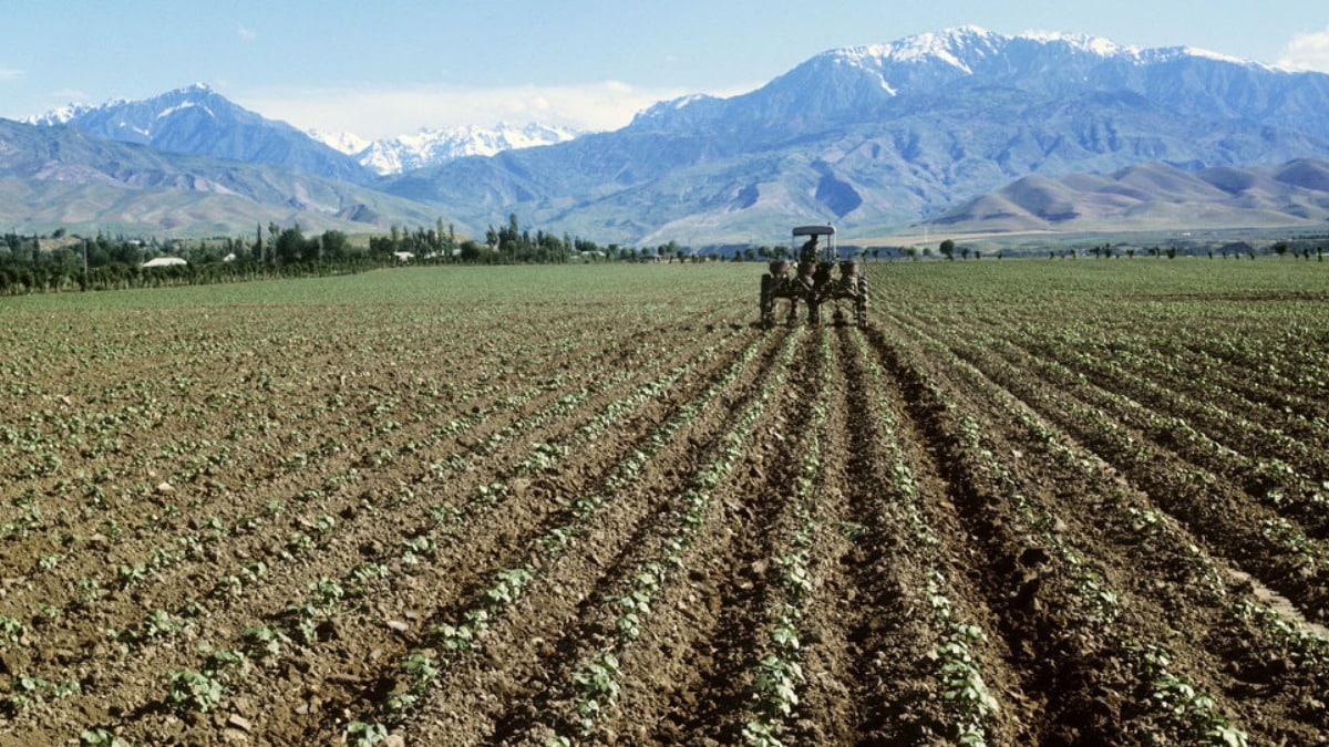 photo_2022-08-12_08-27-57