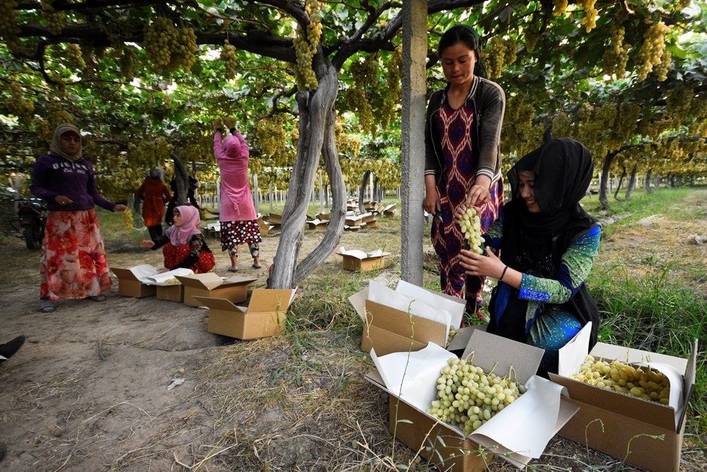 photo_2022-08-26_12-18-47