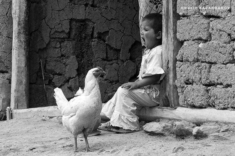 photo_2022-08-28_12-30-09