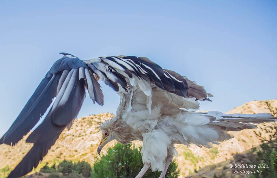 119552397_3237691209693059_2667900883925787101_n