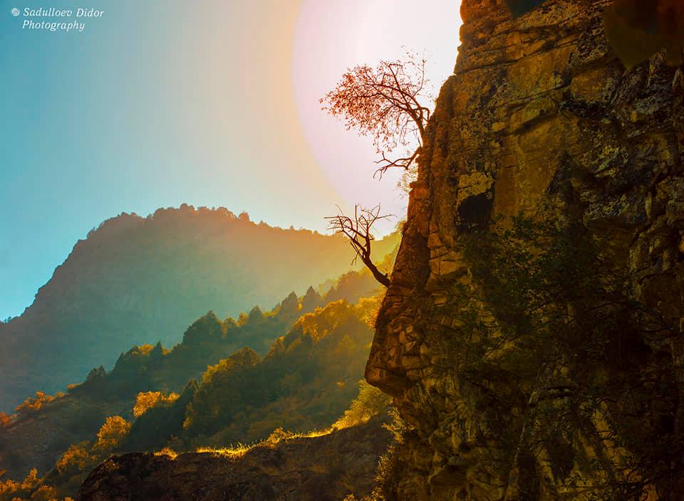 119587187_3237691473026366_7962711839430568889_n