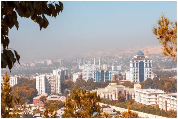 307762487_5381327255329433_4033053929780249361_n