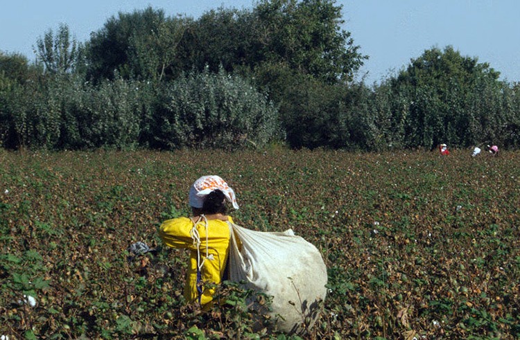 92d662bd-56ab-45aa-87c4-c1011bf27463