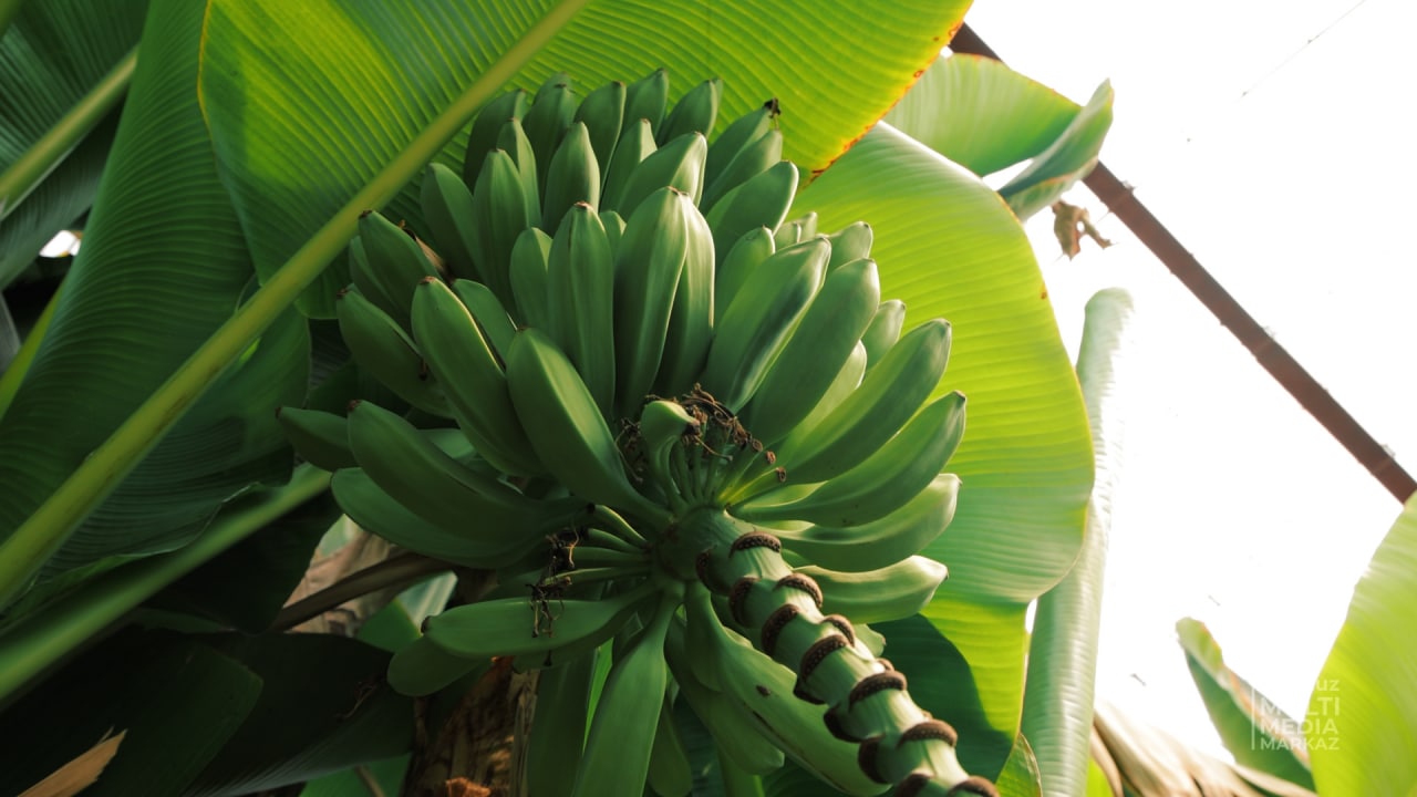 photo_2022-09-05_15-03-31