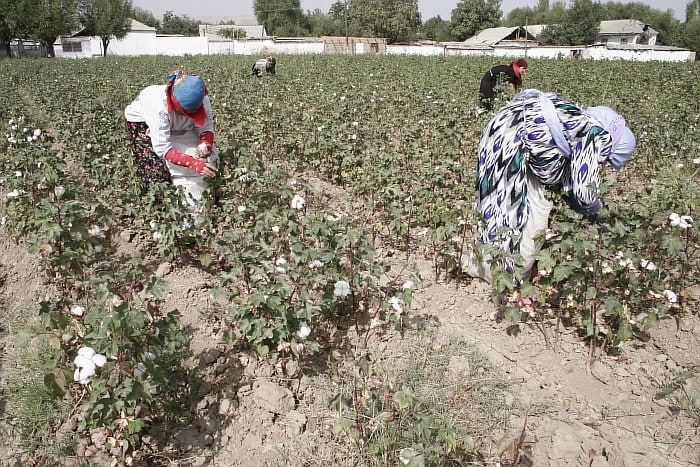 photo_2022-09-21_14-57-04