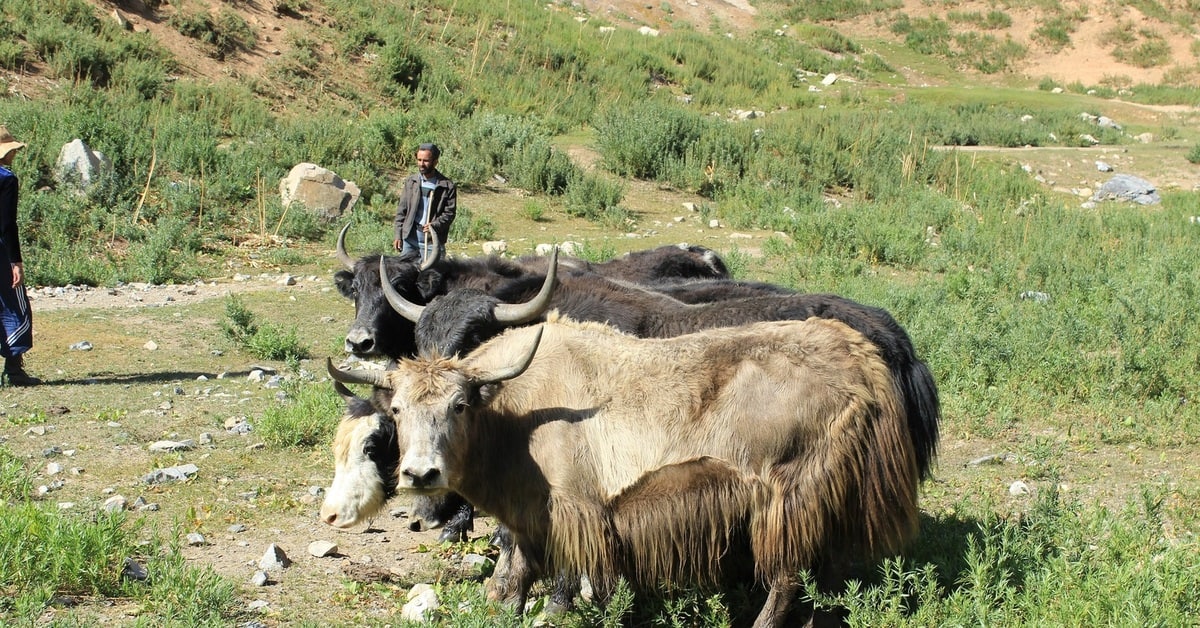 photo_2022-09-28_12-50-32