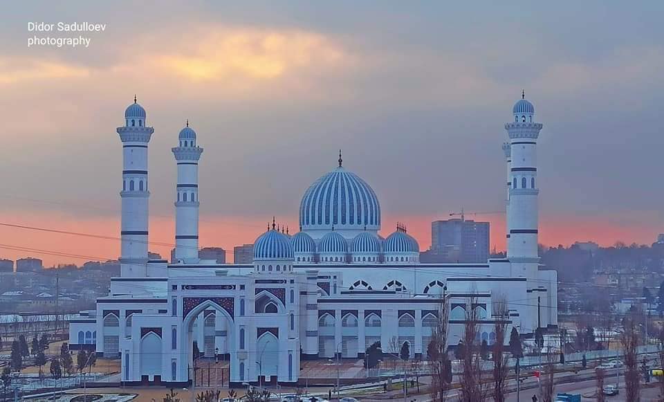 279268398_4979539348841561_7995060995884489272_n