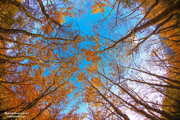 312408451_5458631284265696_8006729439377759503_n