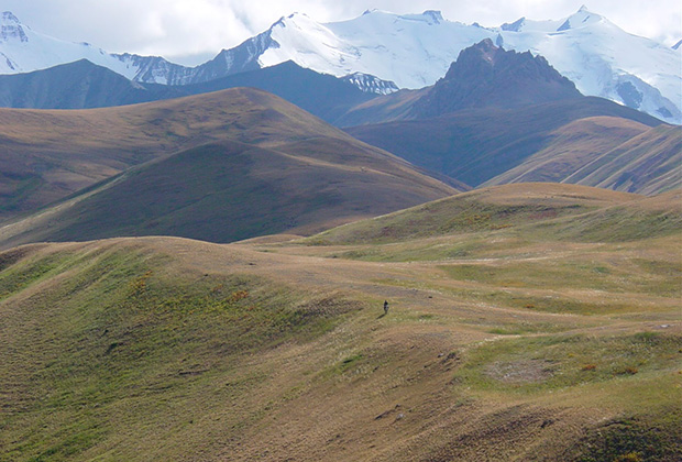 owl_pic_620_f5b56002ad7ce3295580794a0ef4a16d