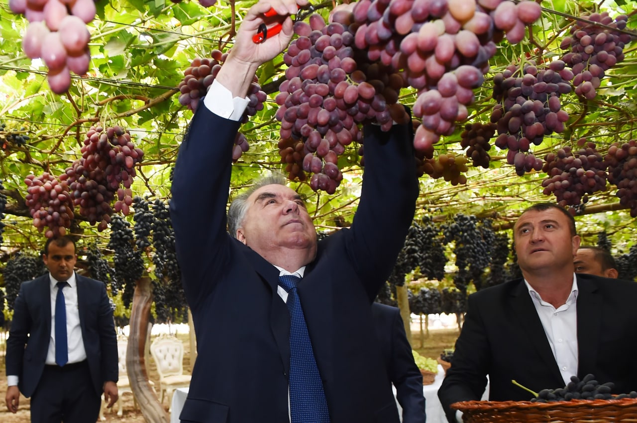 photo_2022-10-03_19-12-56