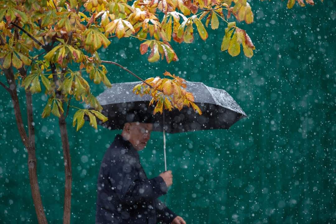 photo_2022-10-24_10-35-03