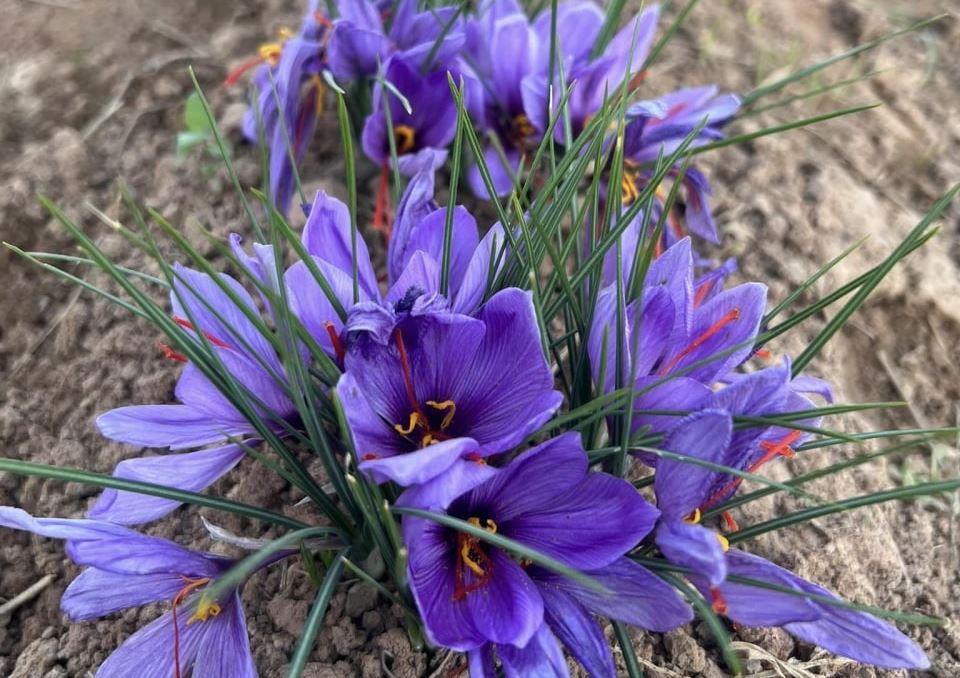 photo_2022-10-28_15-16-03