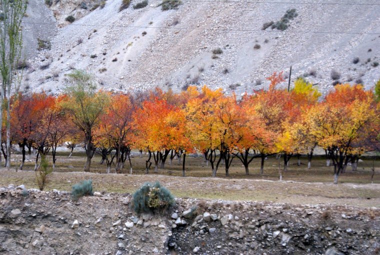 1637948115_37-krot-info-p-osen-v-tadzhikistane-priroda-krasivo-foto-38