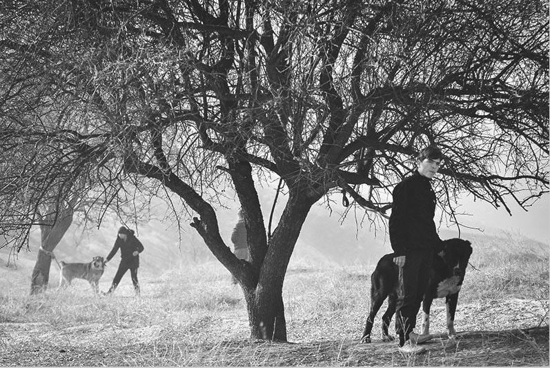 photo_2022-11-12_21-04-22