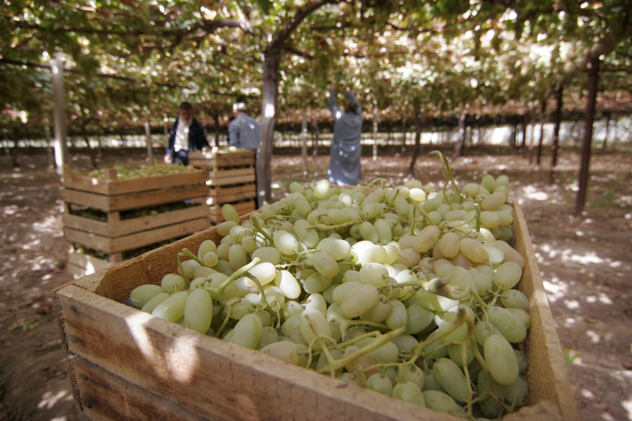 photo_2022-11-15_11-55-36