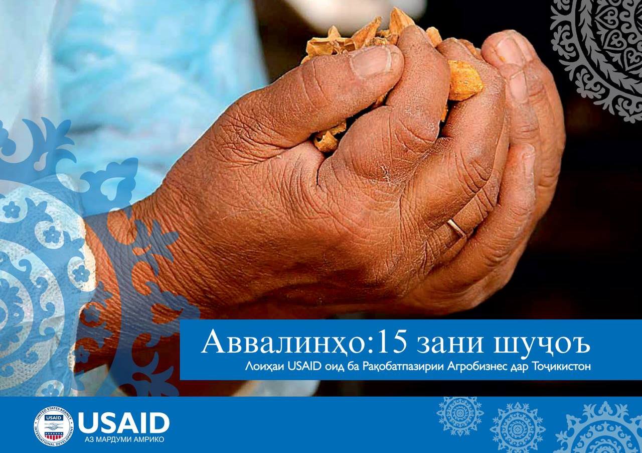 photo_2022-11-15_15-24-52