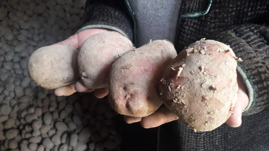 photo_2022-11-17_10-45-24