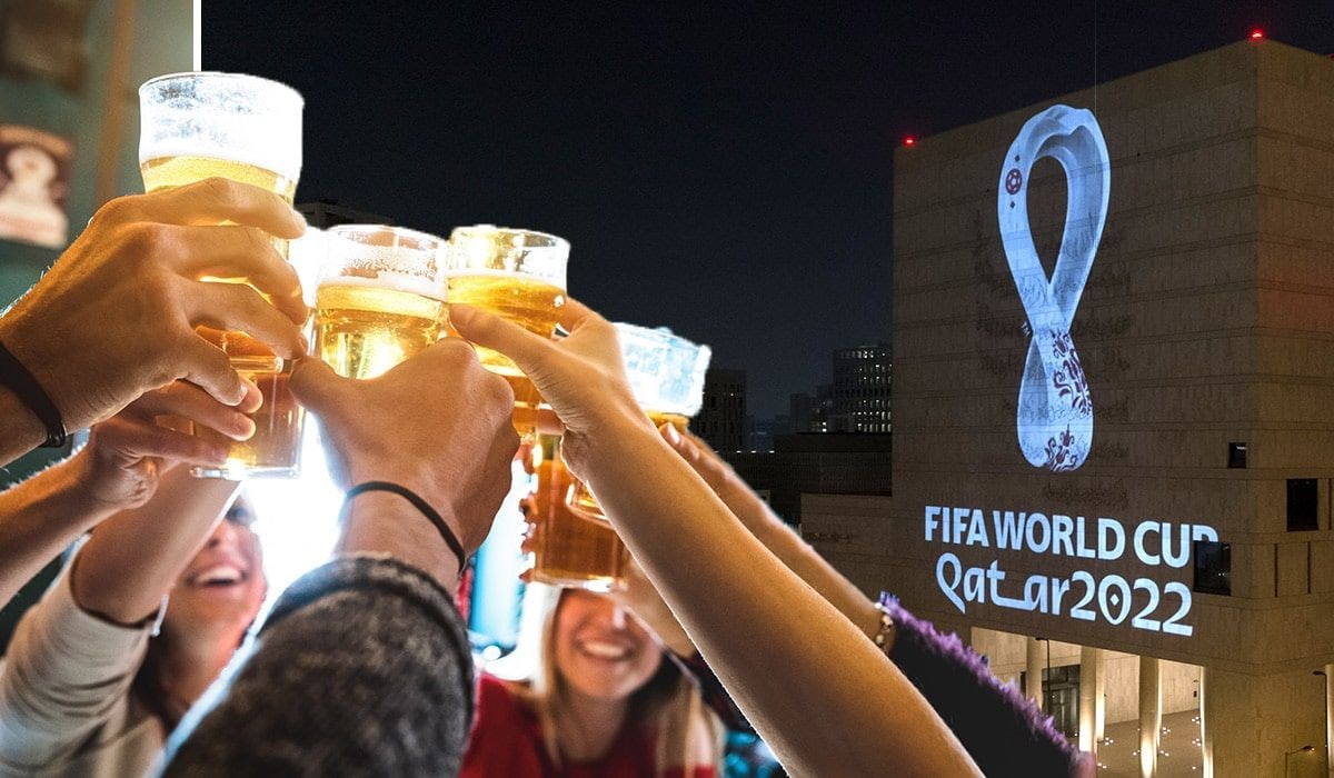 photo_2022-11-19_01-29-36