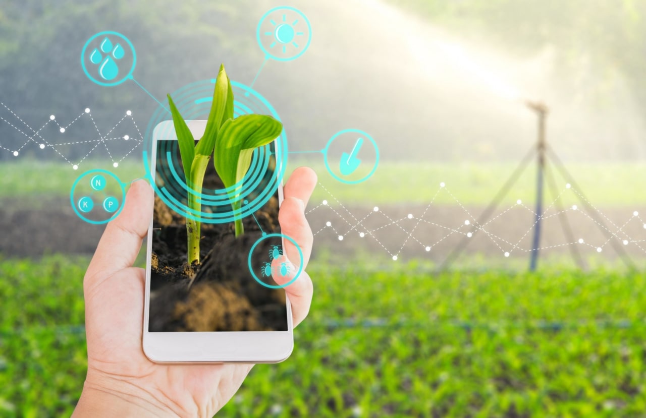 photo_2022-11-29_14-27-32