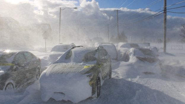 _128131646_buffalo_snow_reu