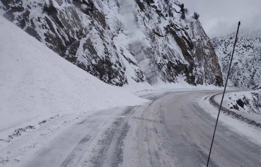 315760233_623138889474795_3082450687834661258_n