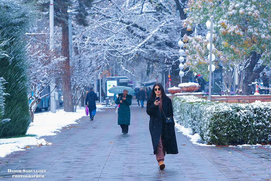 318320573_5588694931259330_2088398327032703076_n 318320573_5588694931259330_2088398327032703076_n