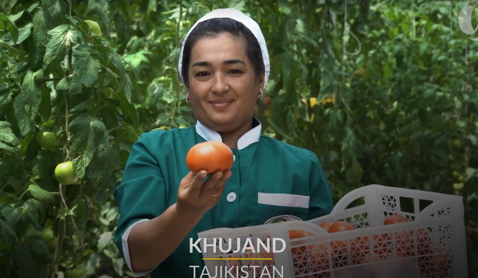 image_2022-12-14_15-47-37