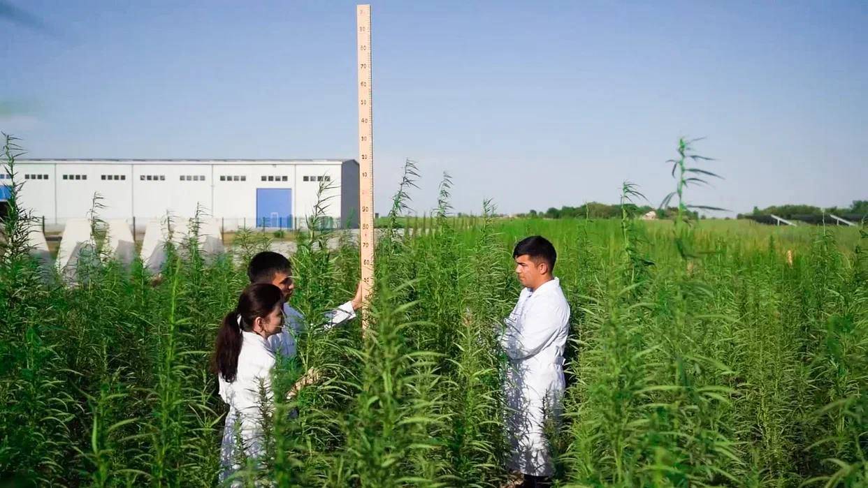 IoqGpVBbP5wKgdq9JV4G