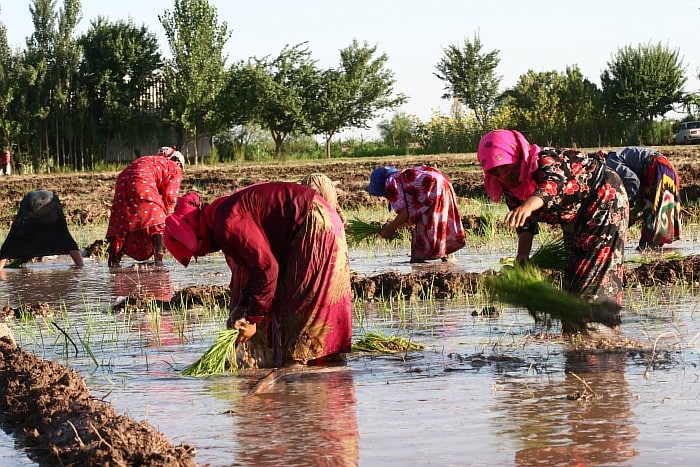 photo_2022-12-26_15-16-03