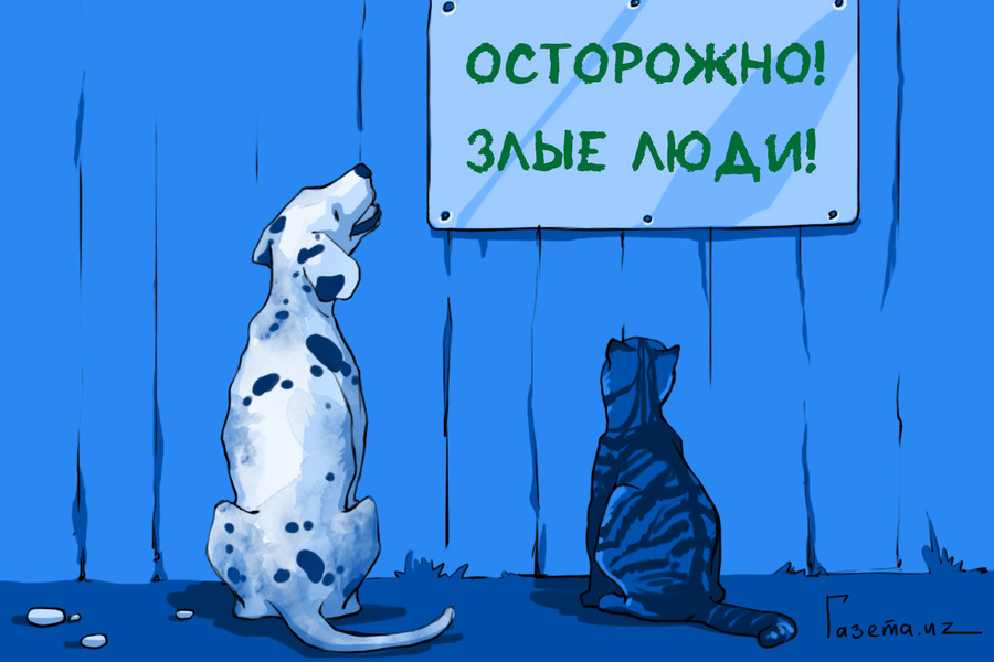 pms2m515307881009769_l