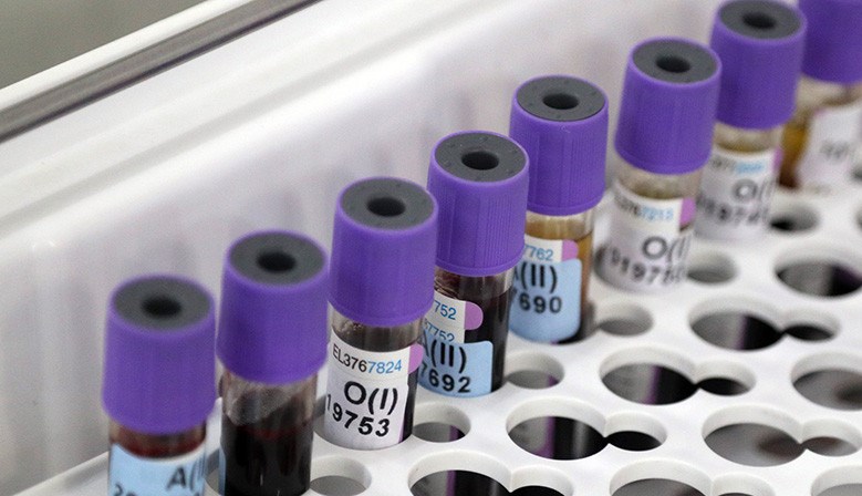 000026_1673507534_544252_big